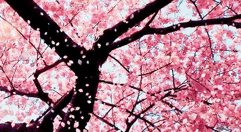 春风十里，不如这8条专享优惠！约惠“女神节”，开启宠爱之旅！