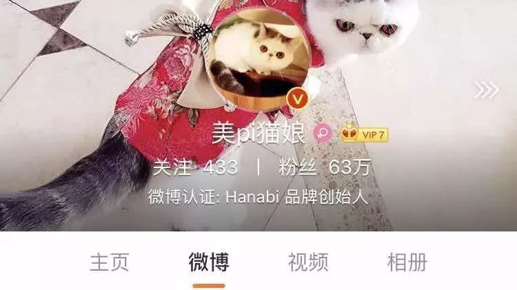 跨境打假追逃背后,“猫娘”们的生意经
