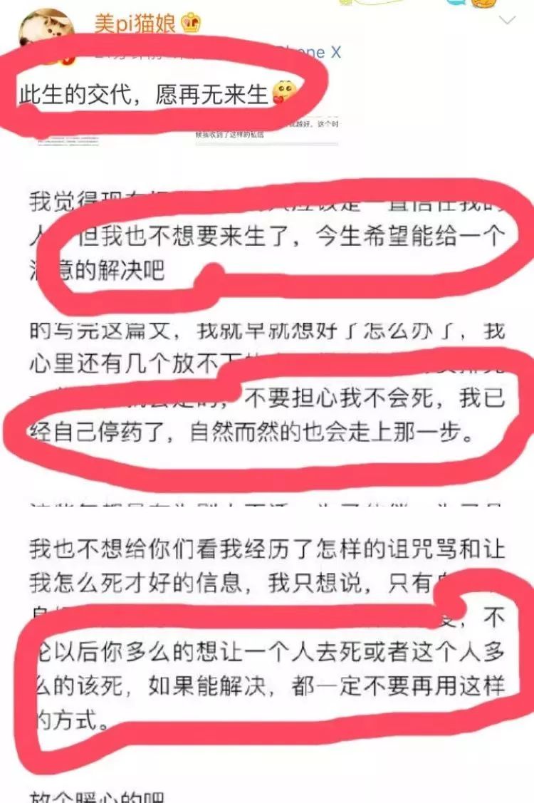 跨境打假追逃背后,“猫娘”们的生意经