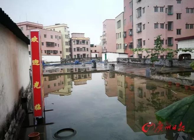 天降大狗案旷日持久谁来担责？