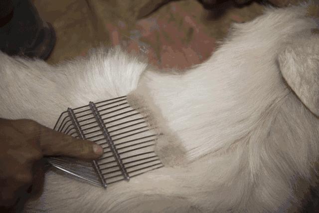 抑菌除螨喷雾日本进口,热销日本花王衣物除异味静电喷雾