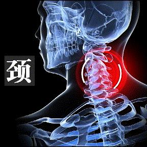 双十二直降1000米,双12遇上大降温