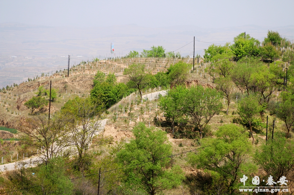 位峰村,湖东竹湖村昔日贫困村今朝换新颜
