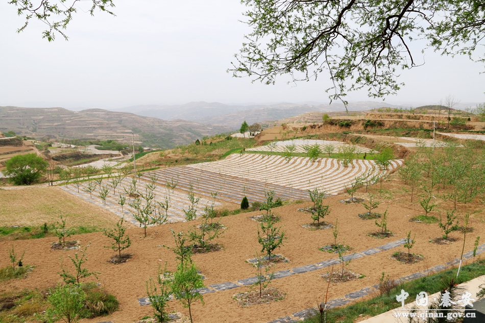 位峰村,湖东竹湖村昔日贫困村今朝换新颜