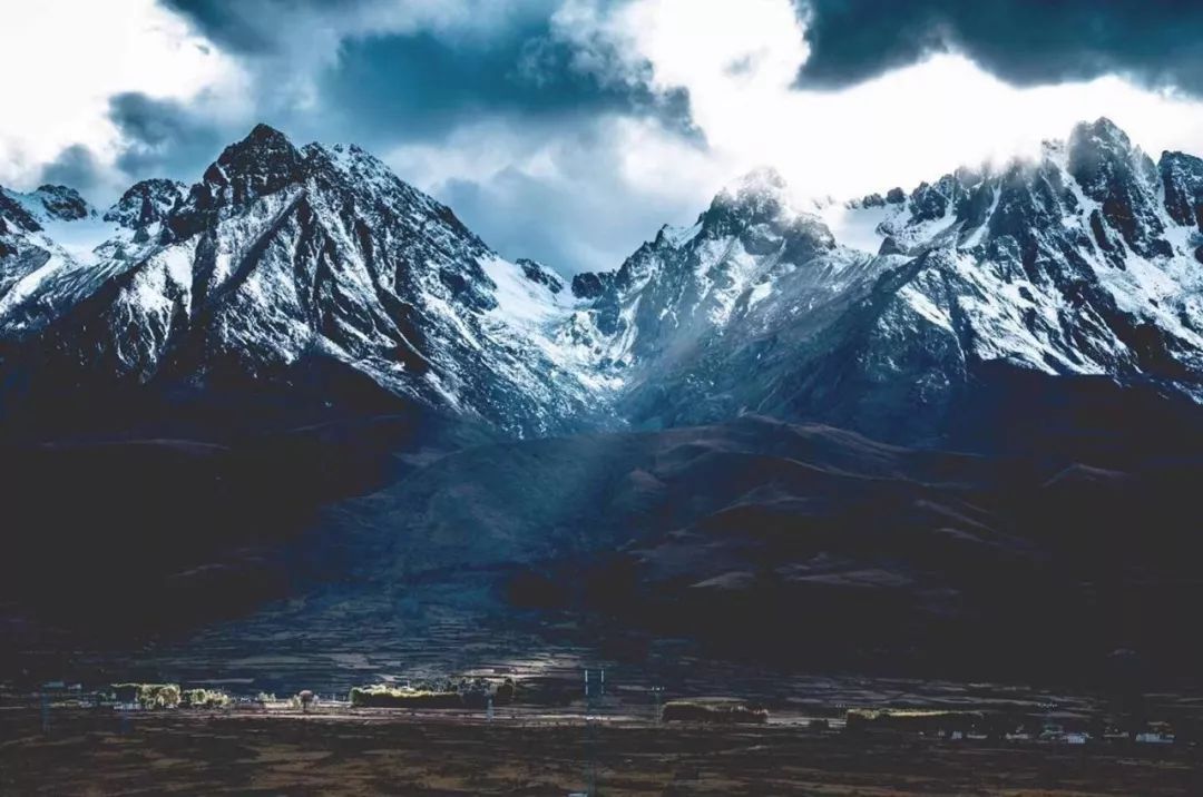 盲目跟风造成严重后果的案例,警惕盲目跟风