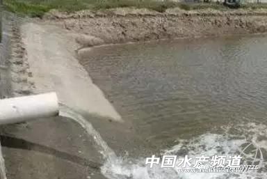 鱼病防治,渔药治渔病