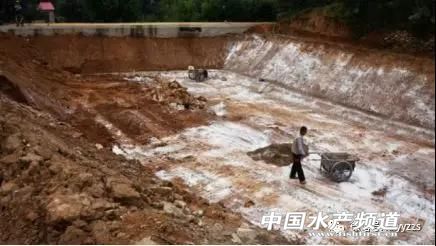 鱼病防治,渔药治渔病