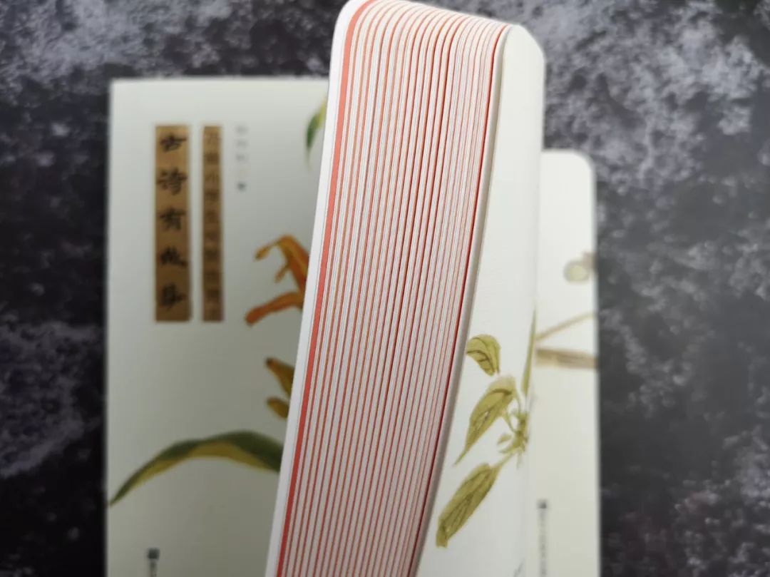 不要逼孩子死记硬背学古诗了,不要再给孩子盲目背诵古诗词了