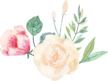 连续使用两个疗程浆膜炎和副粘病毒混感还不能根治,不要执着了,必须使用我们的黄金搭档