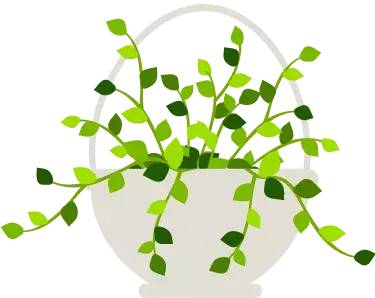 学会定投，让财富滚雪球