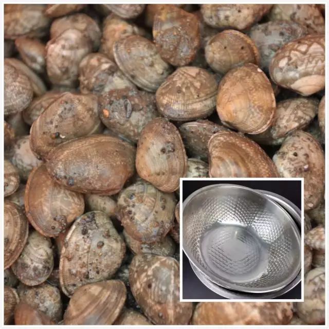 璐濈被娴烽矞鎬庝箞娓呮礂,娴烽矞璐濈被鎬庝箞娓呮礂