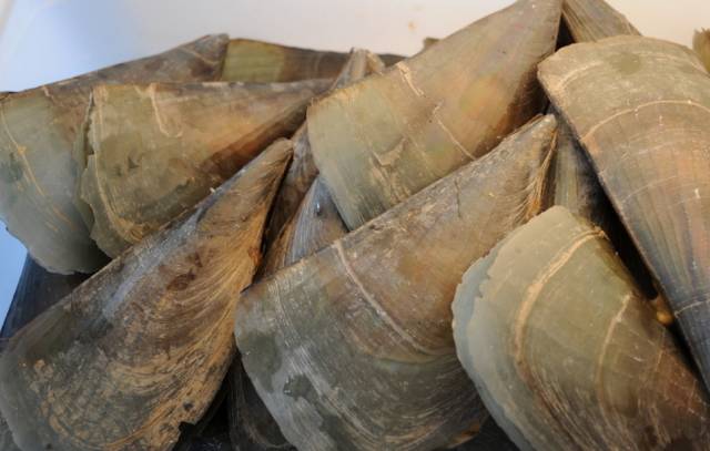 璐濈被娴烽矞鎬庝箞娓呮礂,娴烽矞璐濈被鎬庝箞娓呮礂