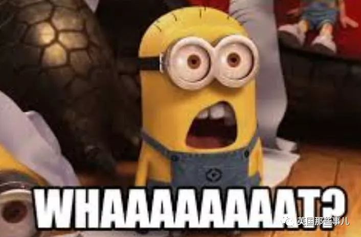 兔兔这么可爱为什么要吃它,兔兔这么可爱为什么要吃兔兔呢