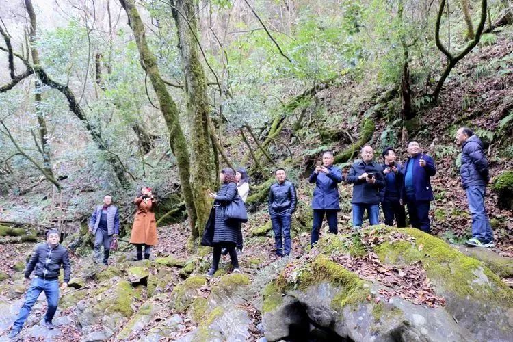 苏陕扶贫协作工作,2022年苏陕扶贫协作项目