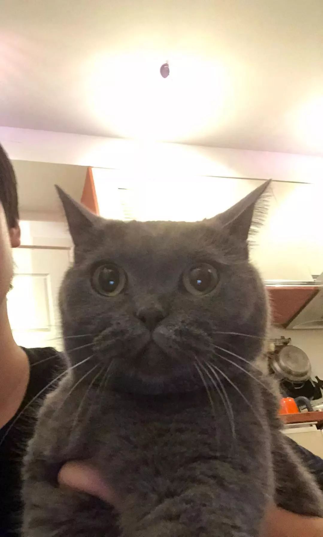 进公寓买设计品,到邮局逛百货店,这三家潮铺我真的摸不透