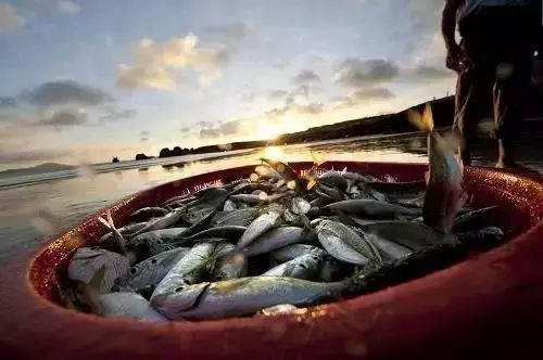 别去鼓浪屿挤了!佛山周边的5个小渔村!新鲜海鲜、绝美小桂林饱足眼福!