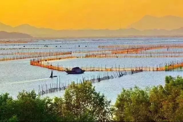 别去鼓浪屿挤了!佛山周边的5个小渔村!新鲜海鲜、绝美小桂林饱足眼福!