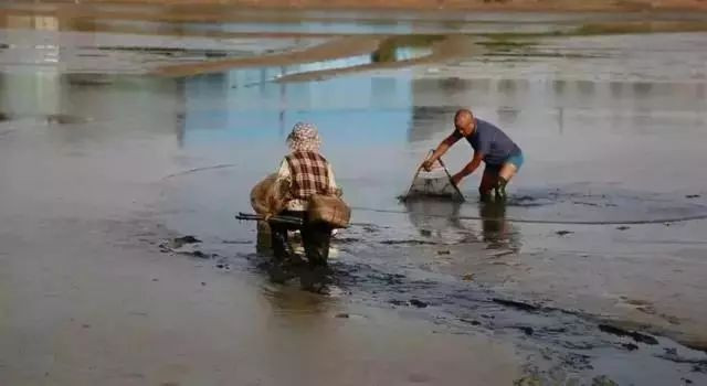 别去鼓浪屿挤了!佛山周边的5个小渔村!新鲜海鲜、绝美小桂林饱足眼福!