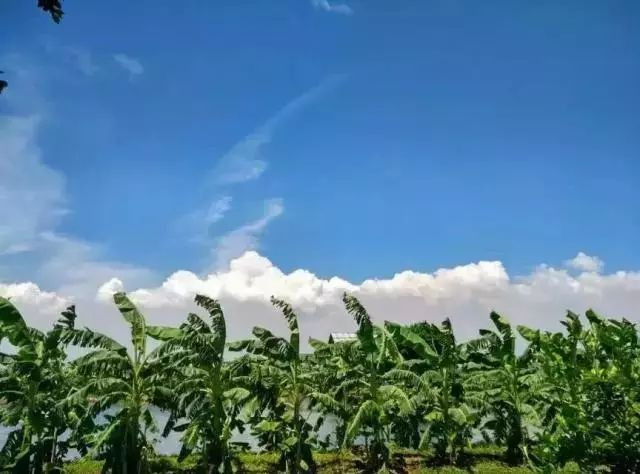 别去鼓浪屿挤了!佛山周边的5个小渔村!新鲜海鲜、绝美小桂林饱足眼福!