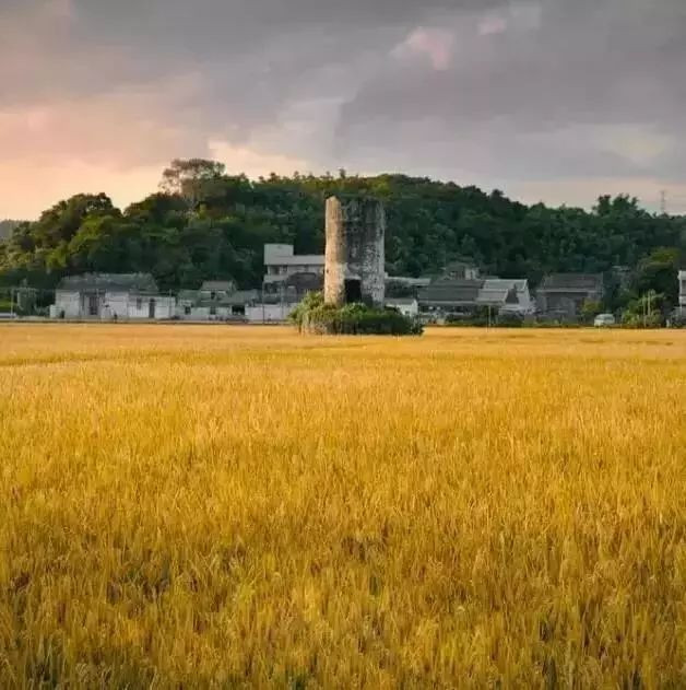 别去鼓浪屿挤了!佛山周边的5个小渔村!新鲜海鲜、绝美小桂林饱足眼福!