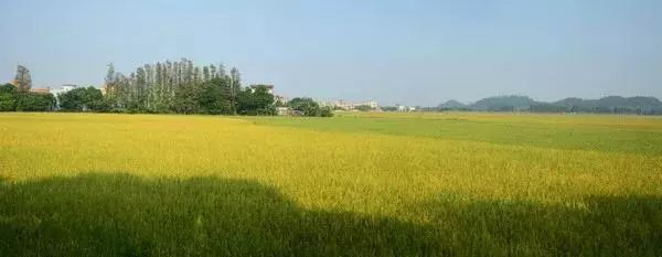 别去鼓浪屿挤了!佛山周边的5个小渔村!新鲜海鲜、绝美小桂林饱足眼福!