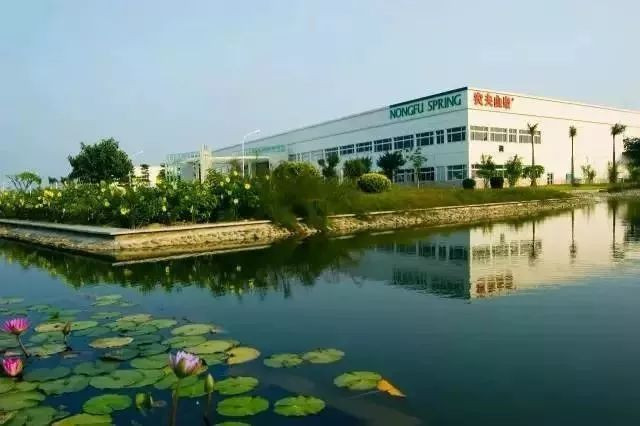 东莞2天一夜自驾游适合去哪玩,东莞出发南疆三飞八日旅游