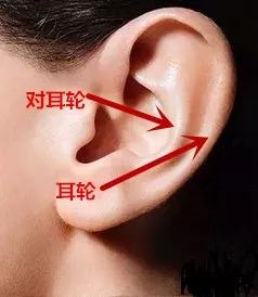 健脾胃最好的食物用于脾胃不和,脾胃差百病生健脾养胃有讲究