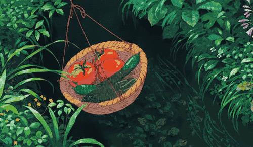 蔬菜这样储存效果不错,蔬菜保鲜三个月的方法