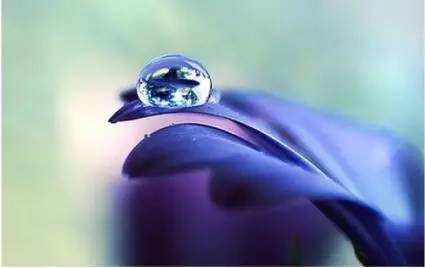 水中花，美翻了！