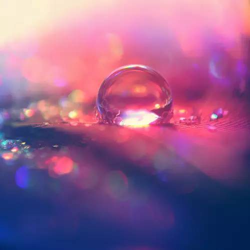 水中花，美翻了！