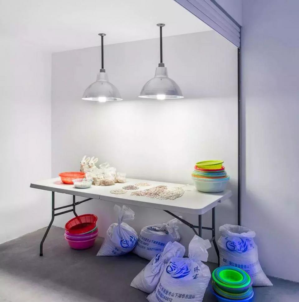 靠抄袭出名小说,从抄袭到创新