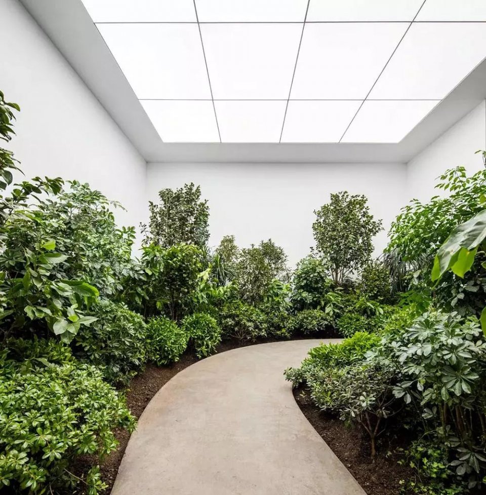 靠抄袭出名小说,从抄袭到创新