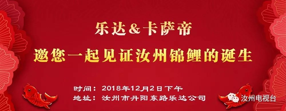 元旦火车票售完了还会放票吗,元旦火车票到底什么时候能买