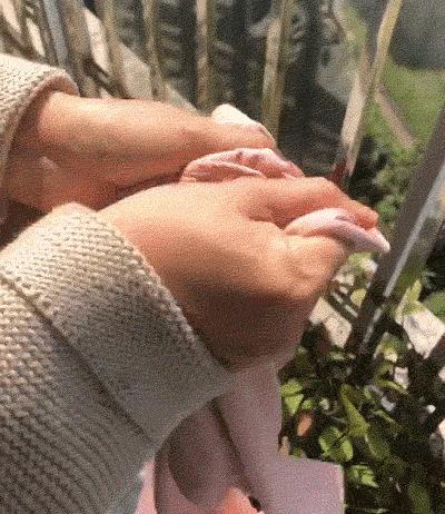 预告｜磨了很久终于谈妥的安莉芳保暖衣，大牌品质，价格实惠，轻薄舒适，冬天穿不臃肿，保暖性超好！