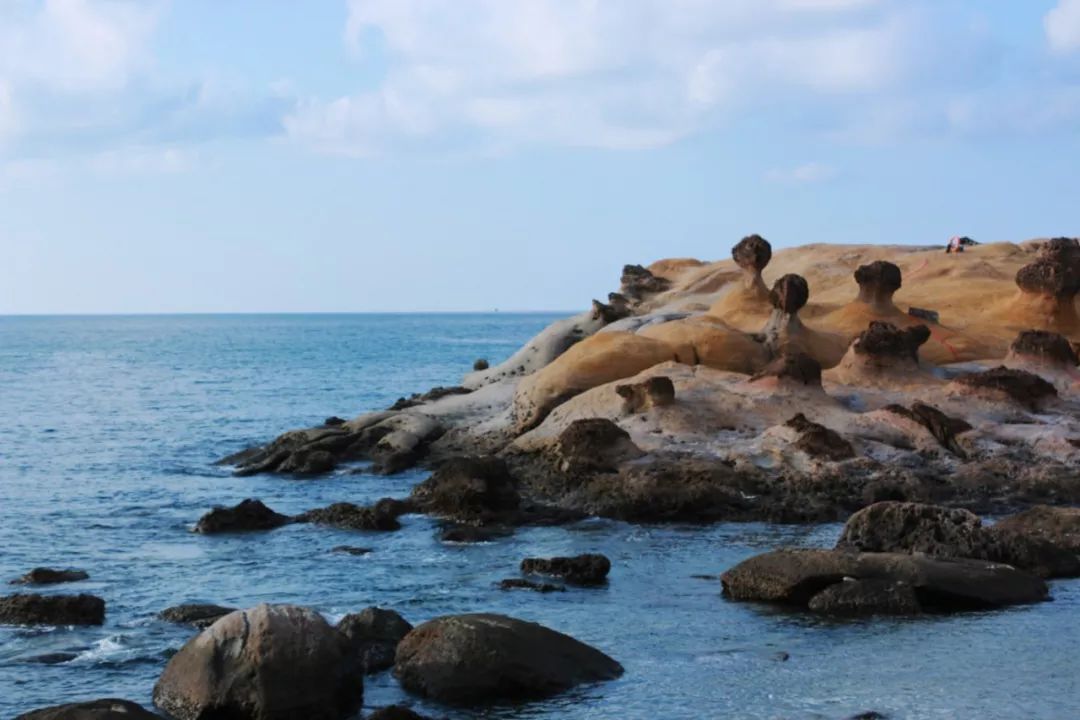 台北攻略1天,台北攻略2015