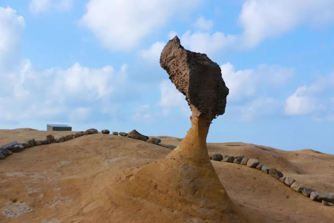 台北攻略1天,台北攻略2015