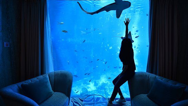 三亚湾旅游攻略四天三晚亲子,3天玩转三亚