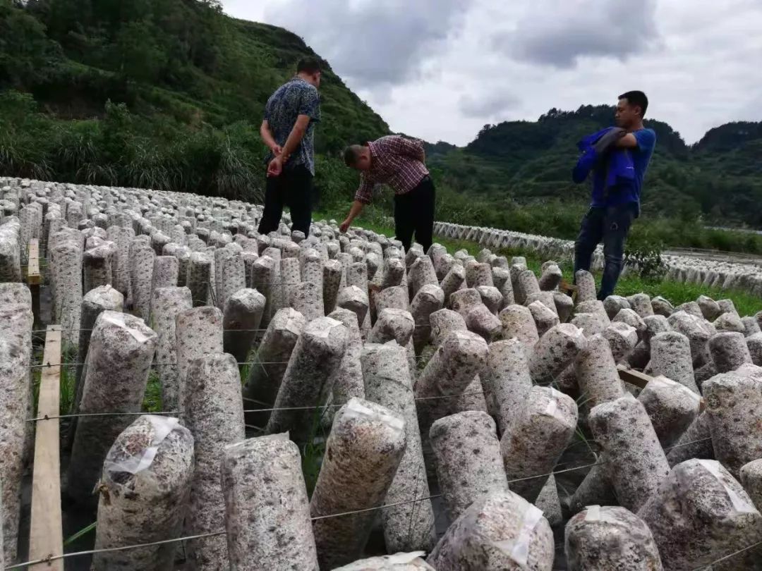 飞来横祸飞来横财,飞来横财到家门