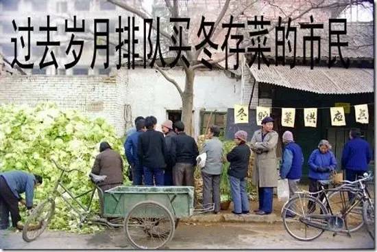 北方人会猫冬,东北什么时候开始猫冬