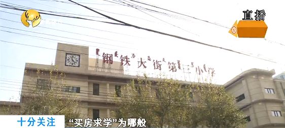 买房落户上学骗局,买房学区规划可信吗