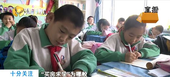 买房落户上学骗局,买房学区规划可信吗