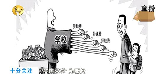 买房落户上学骗局,买房学区规划可信吗