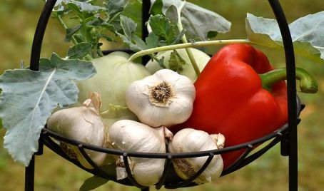 「夜听」它是食物中的青霉素，每天3瓣有奇效，难怪外国人都抢着吃！