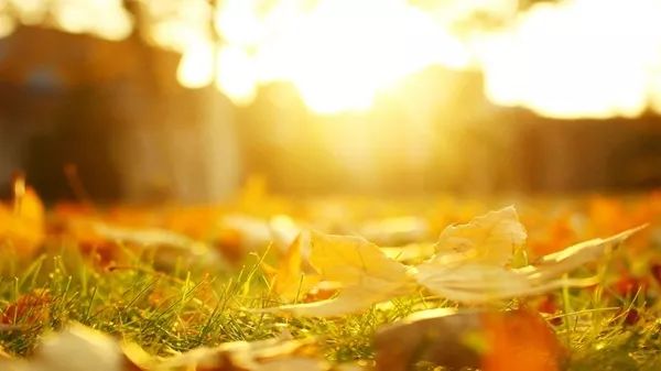 一瞬间爱上兰理工｜这里有我们的小温暖