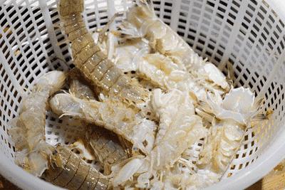 玉林侬，冲鸭！北海8月16日开海，教你在哪里买海鲜最新鲜，最实惠~