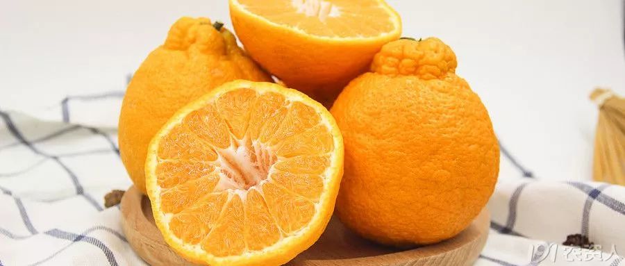 桔子柑橘分几种,秋天熟的柑橘什么品种
