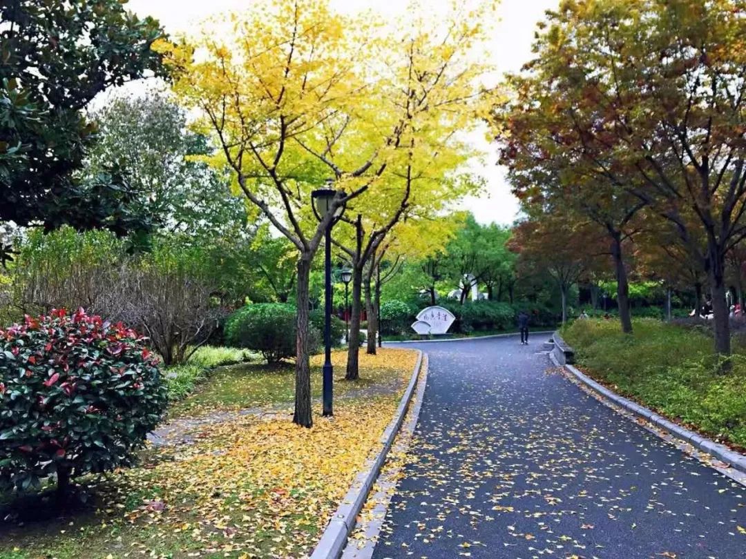 满城尽带黄金甲取景地图片,满城尽带黄金甲震撼场景