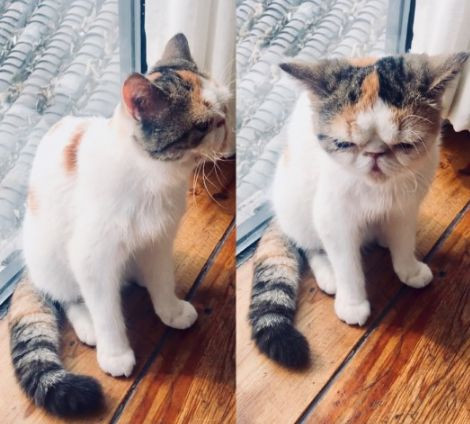 什刹海春季游玩攻略,超详细的北京什刹海逛吃攻略