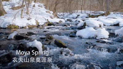 尖叫!包吃包住包玩,2天1夜邀你免费畅玩华南第一湖!