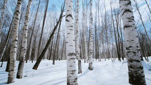 尖叫!包吃包住包玩,2天1夜邀你免费畅玩华南第一湖!